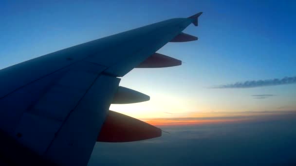 Setting Sun Appearing Airplane Wing — Stock Video