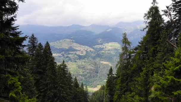 Drone Skott Avslöjar Berg Genom Skog Italien — Stockvideo