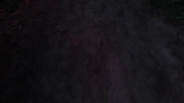 在黑暗的森林中的一条小径上倾斜着漂浮的相机 — 图库视频影像