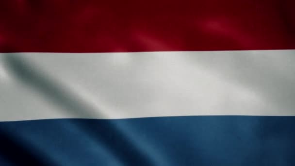 Bandeira Holanda Movimento Lento Acenando Animação Loop Ideal Para Eventos — Vídeo de Stock