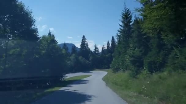 コーチバストラック森の風景の中のカービー道路の内側からの眺め — ストック動画