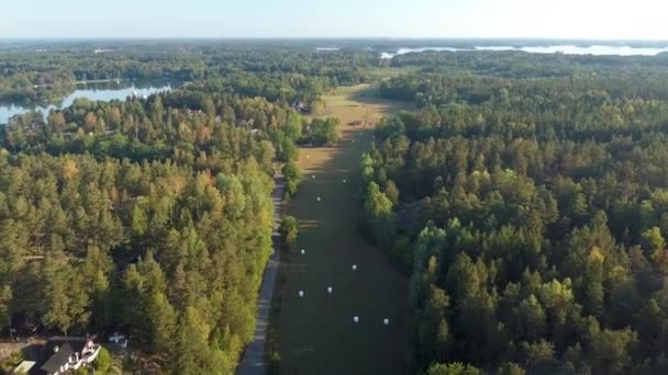 Impresionante Vista Aérea Campo Rodeado Por Bosque Campo Sueco Hermosa — Vídeo de stock