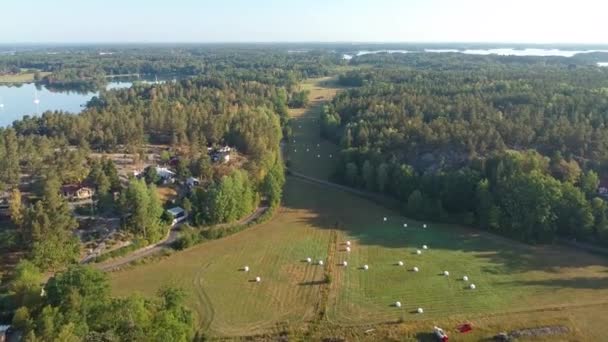 Splendida Vista Aerea Campo Circondato Una Foresta Nella Campagna Svedese — Video Stock