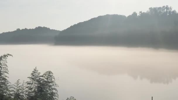 Statischer Nebelschuss Der Durch Die Bäume Über Den See Steigt — Stockvideo