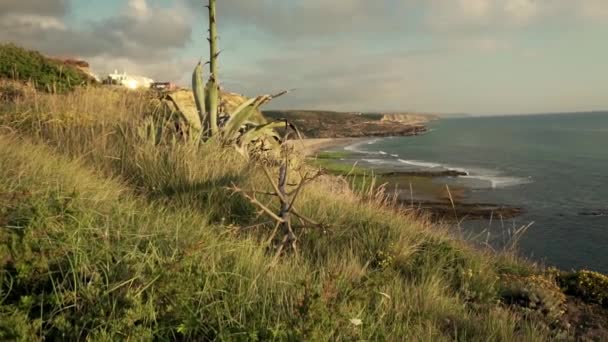 Атлантичній Скелі Між Високими Травами Повільний Рух — стокове відео
