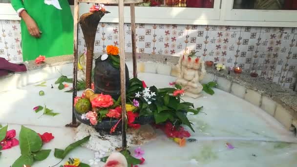 Templo Indio Festival Fiesta India Plantilla Señor Shiva Templo India — Vídeo de stock