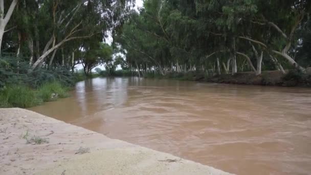 Água Lamacenta Fluindo Canal — Vídeo de Stock