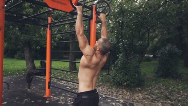 Naturlig Kroppsbyggare Pull Ups Gymnastic Ringar Film — Stockvideo