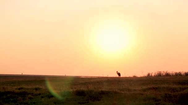 Piękny Wschód Słońca Barandzie — Wideo stockowe