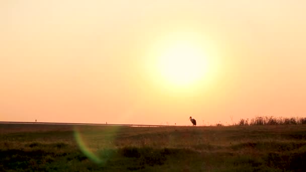 Hermoso Amanecer Baranda — Vídeos de Stock