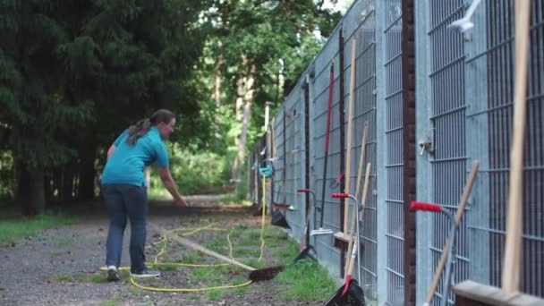 Pies Bawi Się Biega Schronisku Dla Zwierząt Klatkach Ogrodzeniach Adopcji — Wideo stockowe