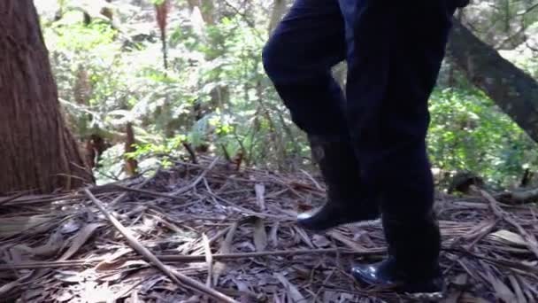 Close Pés Andando Através Galhos Paus — Vídeo de Stock