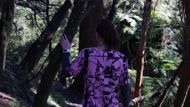 Chica Caminando Través Del Bosque Con Cámara Siguiendo Detrás — Vídeo de stock