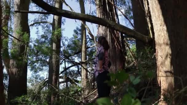 森の中で迷子の女の子が — ストック動画