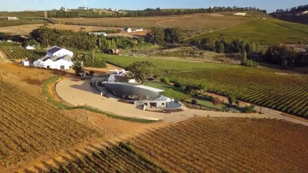 Drone Antenne Beelden Van Wijngaard Wijnboerderij Heuvels Van Stellenbosch Buiten — Stockvideo