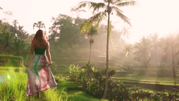 Chica Caminando Bali Arroz Terraza Campos Con Hermosas Palmeras Backgroudn — Vídeo de stock