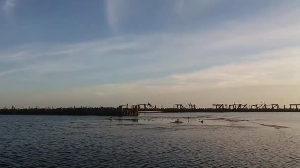 旧木制码头和海浪 — 图库视频影像