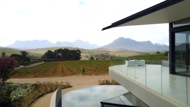 ケープタウン南アフリカ外のステレンボッシュの丘の上にあるブドウ畑 ワイン農場のドローンまたは空中映像 — ストック動画
