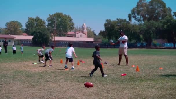 Young Kids Attend Free Football Clinic Prepare Upcoming Fall Flag — Stock Video
