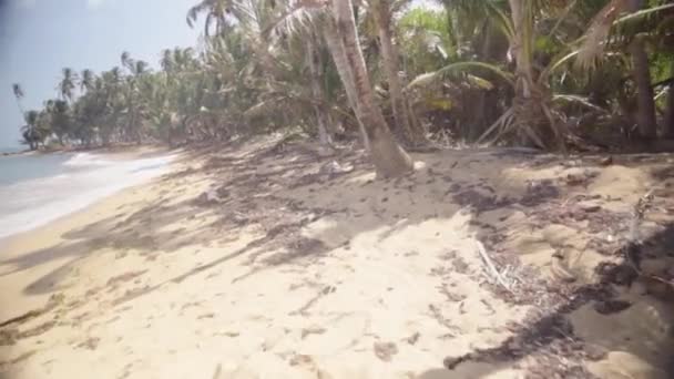 Passeggiando Lungo Una Spiaggia Sabbia Bianca Incontaminata Con Palma Attrice — Video Stock