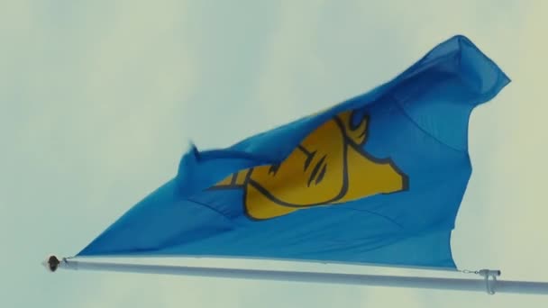 斯德哥尔摩市的旗帜在风中飘扬 — 图库视频影像