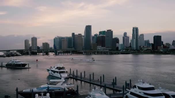 Downtown Miami Time Lapse Bakgrunden — Stockvideo