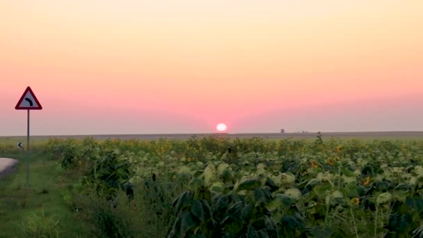 Schöner Sonnenaufgang Baranda — Stockvideo