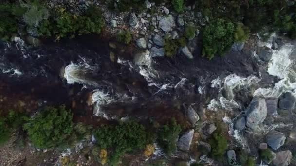 Nagranie Lotu Ptaka Spływającego Kajakami Białej Wodzie Strumieniu Wolnostojącym Zachodnim — Wideo stockowe