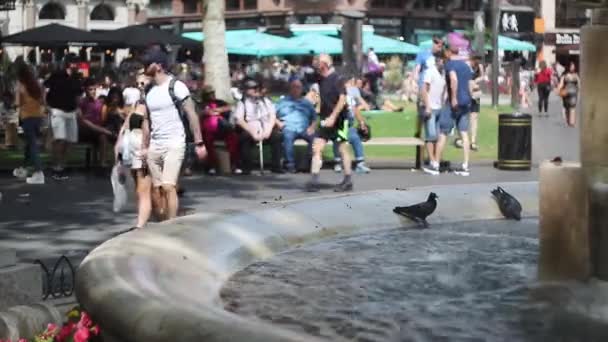 Londra Leicester Meydanı Ndaki Shakespeare Çeşmesi Nin Çekimleri Güvercinler Arka — Stok video