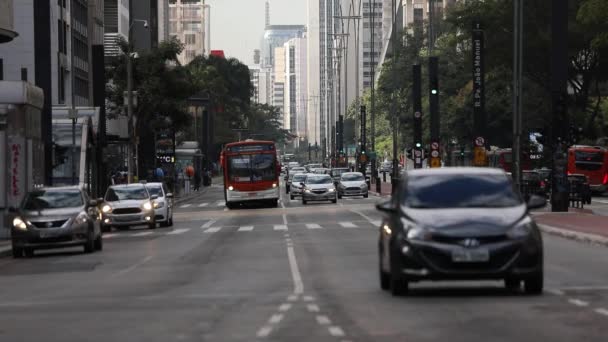 Downtown Trafik Sao Paulo Lång Telefonsvarare — Stockvideo