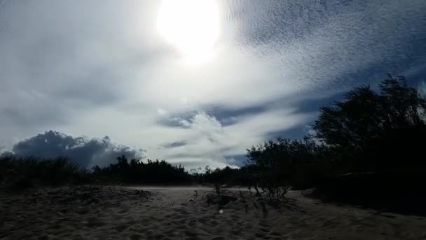 Spiaggia Del Mar Baltico Dune Sabbia — Video Stock