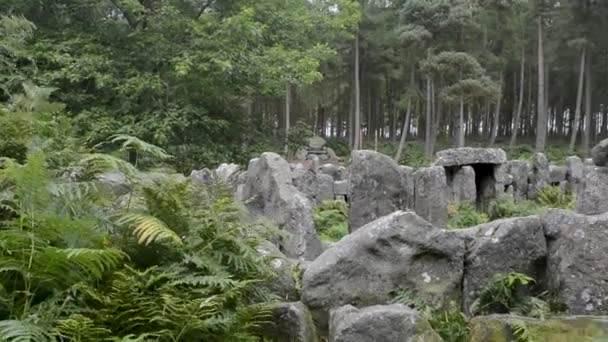 Druids Temple Ilton Yorkshire Del Norte Reino Unido Círculo Piedra — Vídeos de Stock