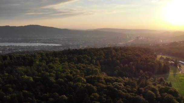 美しいスイスの森の空中ビュー 夕日を眺めながら ドローンで撮影 次に上から木を露出させ — ストック動画