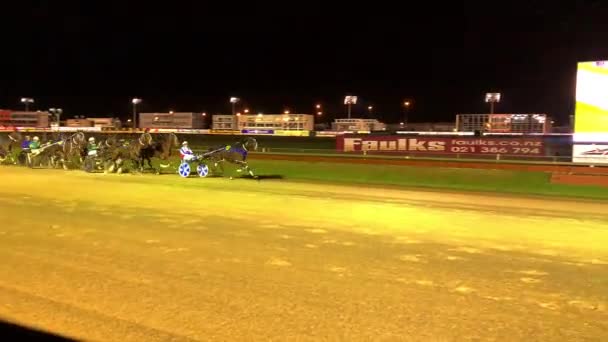 Volta Para Corrida Cavalos — Vídeo de Stock