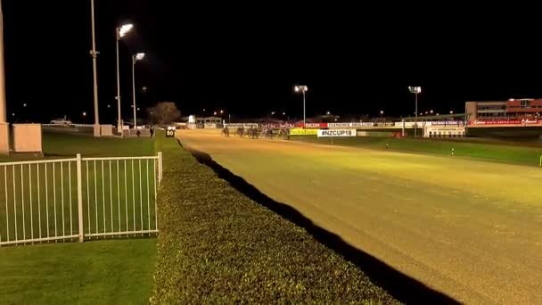 Horses Racing Home Stretch — Stock Video