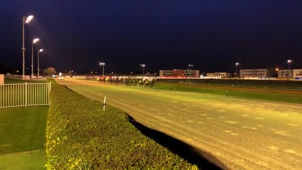 Harness Racers Finish Line Lap — Stock Video