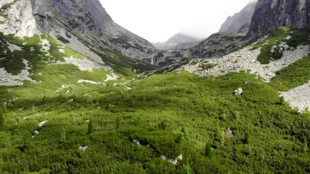 Aerial Revelando Dos Montañas Brumosas Cerca Pine Forest — Vídeo de stock