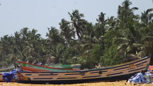 Bred Bild Några Båtar Vilande Stranden Strand Indien — Stockvideo