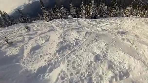 Snowboard Jump Crash Bij Whistler Canada — Stockvideo