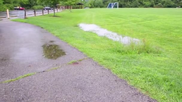 Flooding Local Park — Stock Video