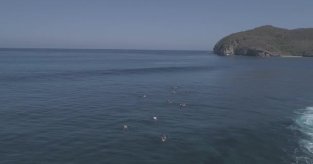 Drone Aéreo Disparado Grupo Surfistas Mar — Vídeo de Stock