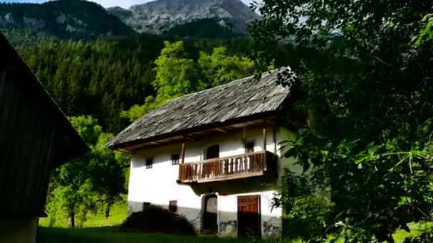 Традиційний Гірський Будинок Словенії Дерев Яним Дахом — стокове відео