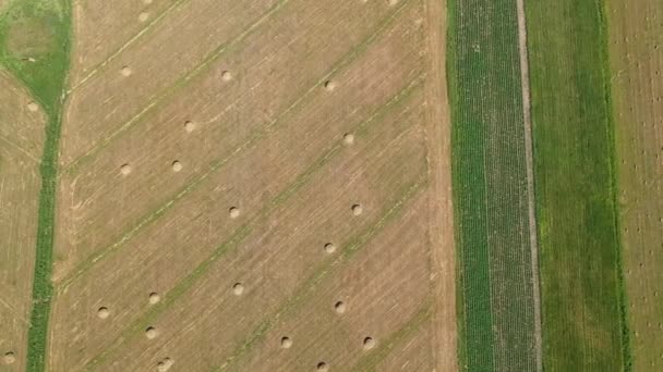 Pan Lento Volo Uccello Sorprendenti Modelli Terreni Agricoli Nella Valle — Video Stock