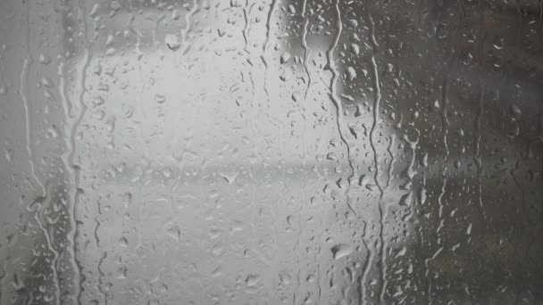 Regn Faller Fönstret — Stockvideo