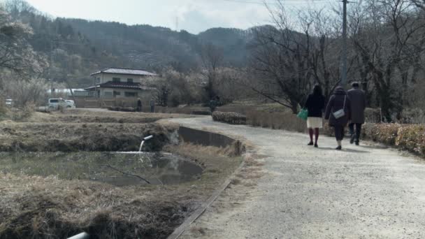 Les Gens Marchent Dans Campagne Devant Fukashima — Video
