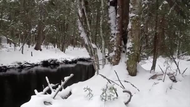 Zima Může Být Krásné Roční Období — Stock video