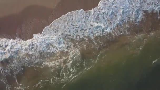 Aerial Shot Waves Breaking Beach — Stock Video