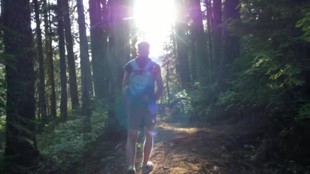 Guy Geht Den Wäldern Des Garibaldi Nationalparks Der Sonne Entgegen — Stockvideo