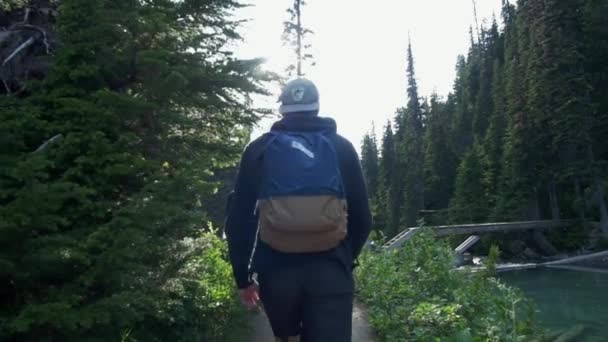 Les Gens Marchent Vers Soleil Dans Forêt Côté Lac Gxoadli — Video