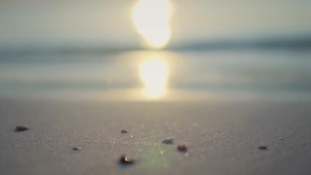 夕阳西下 美丽的近景沙滩飘扬 — 图库视频影像